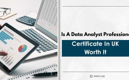 Is a Data Analyst Professional Certificate in UK Worth It
