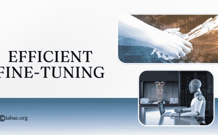 What is Efficient Fine-Tuning of Large Models?