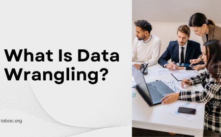 What Is Data Wrangling?