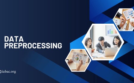 What Is Data Preprocessing?