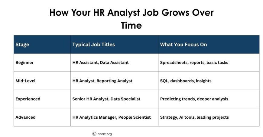 How Your HR Analyst Job Grows Over Time