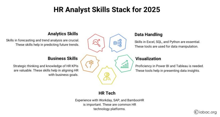 HR Analyst Skills Stack for 2025