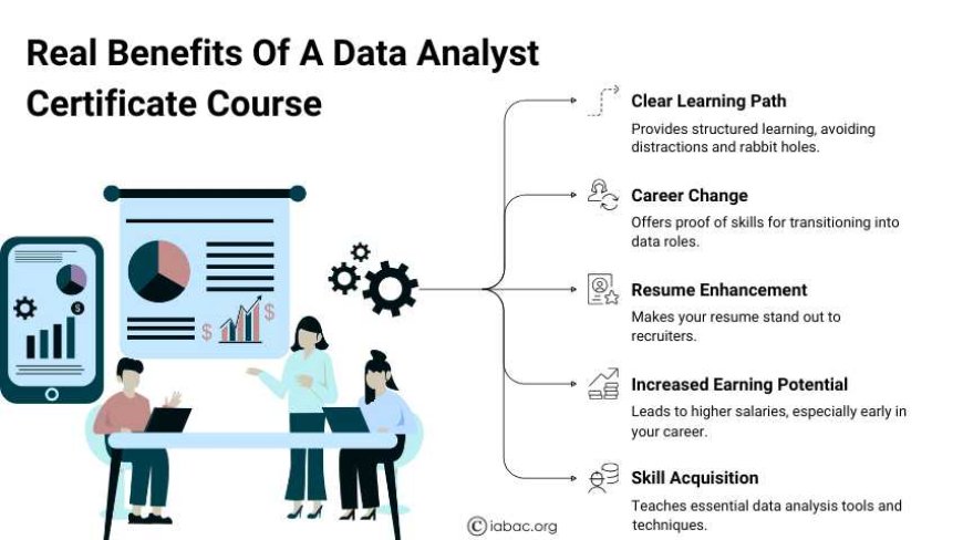 Benefits of a Data Analyst Certificate Course