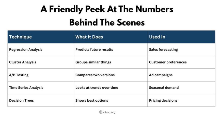 A Friendly Peek at the Numbers Behind the Scenes