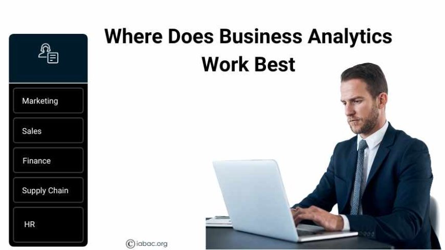 Business Analytics 