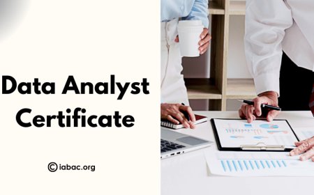 How a Data Analyst Certificate Can Help You Switch Careers