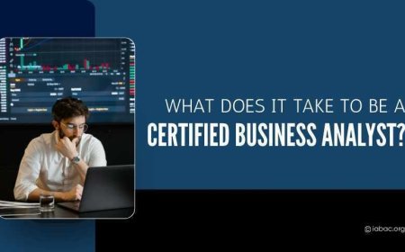 What Does It Take to Be a Certified Business Analyst