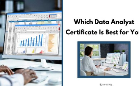 Which Data Analyst Certificate Is Best for You