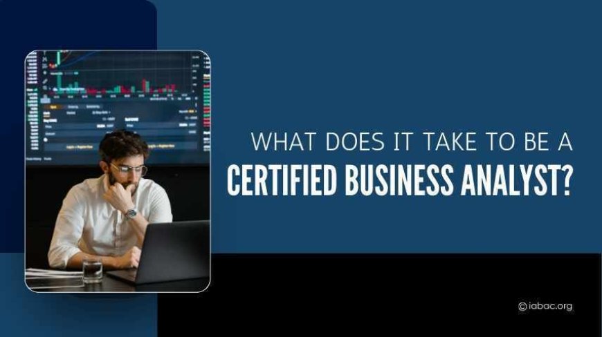 What Does It Take to Be a Certified Business Analyst