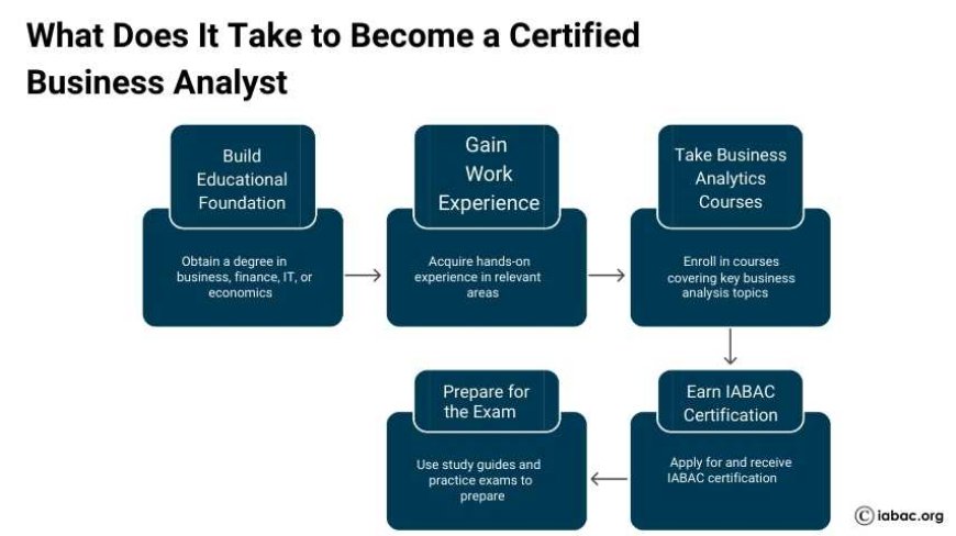 Certified Business Analyst