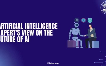 Artificial Intelligence Expert's View on the Future of AI