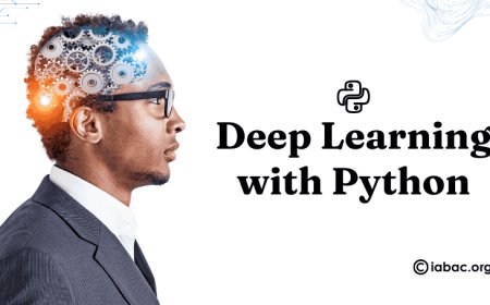 Deep Learning with Python