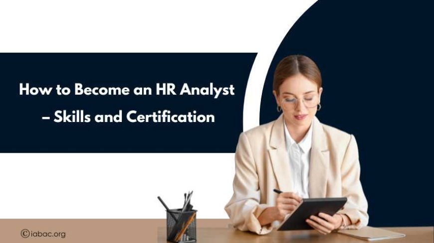 How to Become an HR Analyst – Skills and Certification