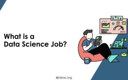 What is a Data Science Job?