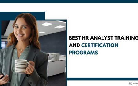 Best HR Analyst Training and Certification Programs