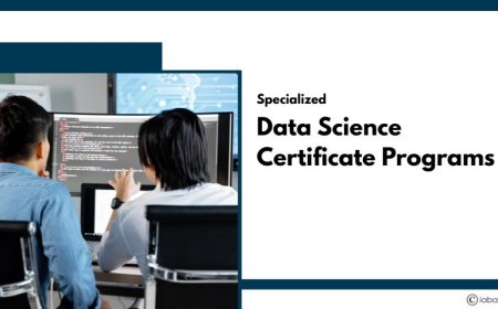 Specialized Data Science Certificate Programs