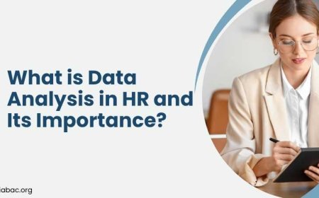 What is Data Analysis in HR and Its Importance?