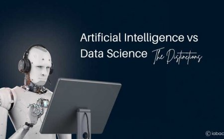 Artificial Intelligence vs Data Science:The Distinctions