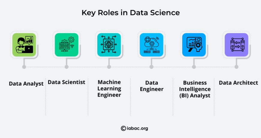 Key Roles in Data Science