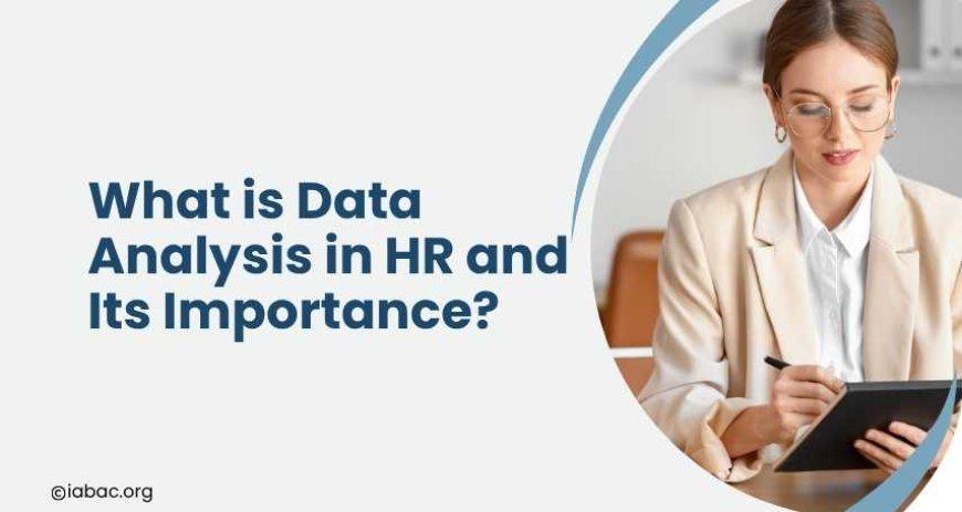 What is Data Analysis in HR and Its Importance?