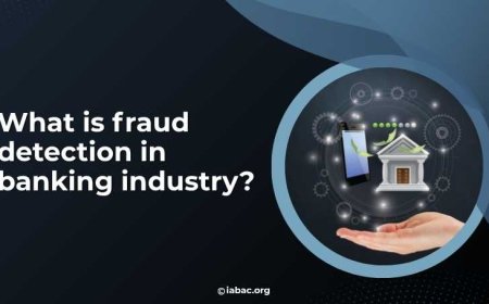 What is fraud detection in banking industry?
