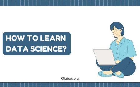 How to Learn Data Science: A Friendly Guide for Beginners