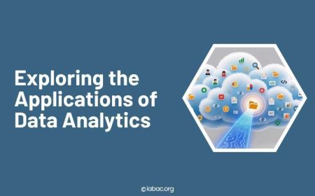 Exploring the Applications of Data Analytics 
