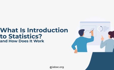 What Is Introduction to Statistics and How Does It Work?