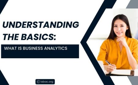 Understanding the Basics: What Is Business Analytics