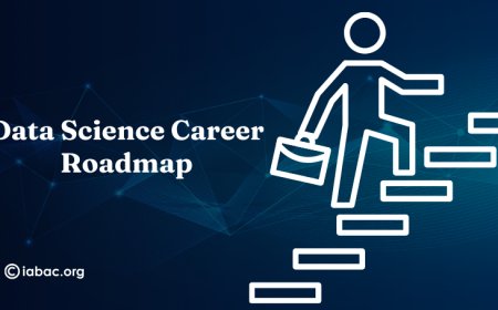 Data Science Career Roadmap: Skills, Salary, Jobs & Learning Path