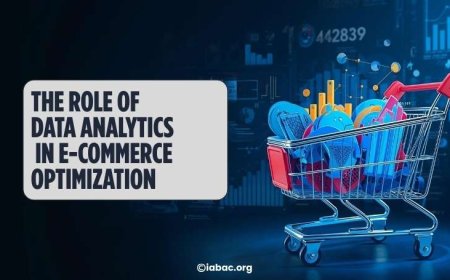 The Role of Data Analytics in E-Commerce Optimization