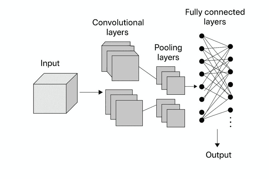 CNN Architecture