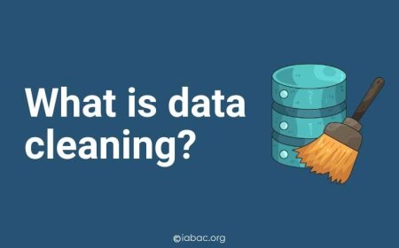 What Is Data Cleaning and Why Is It Important?