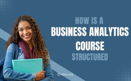 How Is a Business Analytics Course Structured