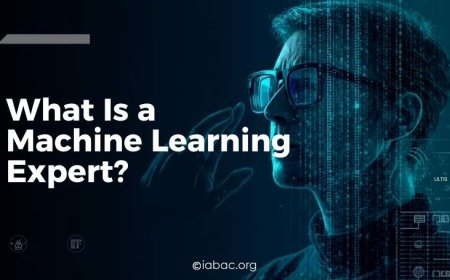 What Is a Machine Learning Expert?