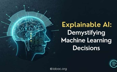 Explainable AI: Demystifying Machine Learning Decisions