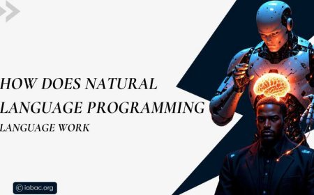 How Does Natural Language Programming Language Work