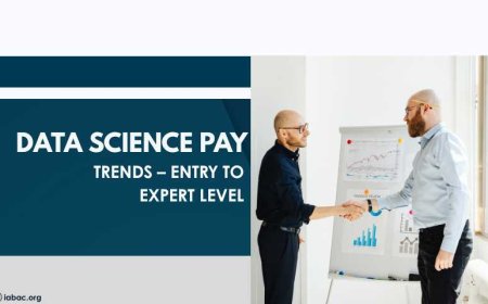 Data Science Pay Trends Entry to Expert Level