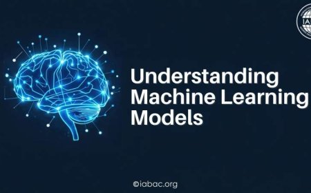 Understanding Machine Learning Models