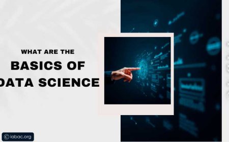 What Are the Basics of Data Science