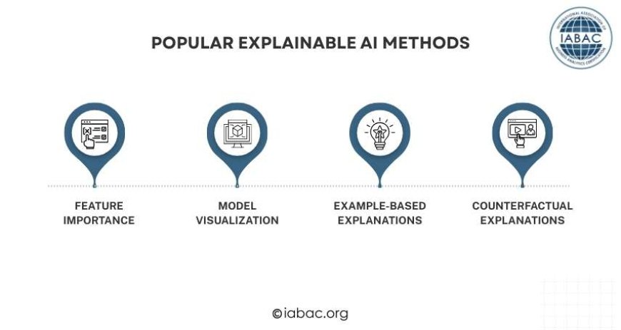 Popular Explainable AI Methods