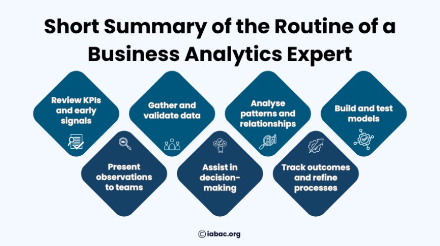 Short Summary of the Routine of a Business Analytics Expert