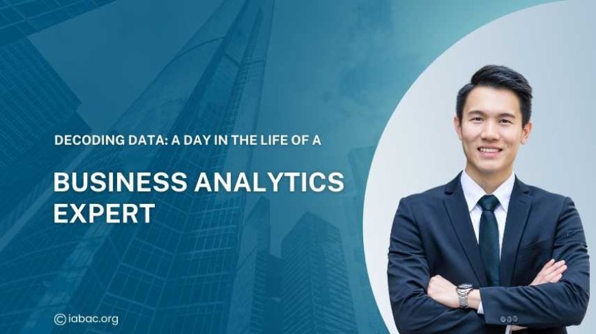 Decoding Data: A Day in the Life of a Business Analytics Expert