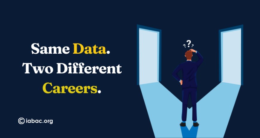Data Engineer or Data Scientist? The Difference Most People Miss