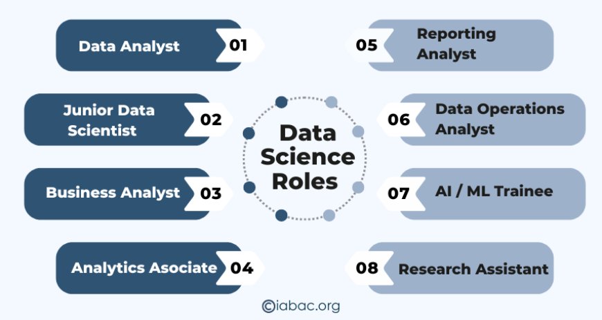 Data Science Roles 