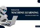 What Is Machine Learning Meaning in Daily Use