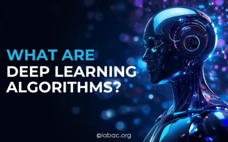 What Are Deep Learning Algorithms and How Do They Work?