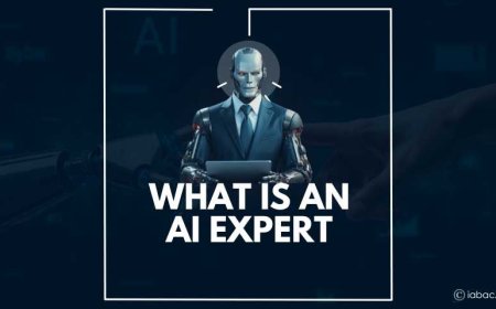 What Is an AI Expert?