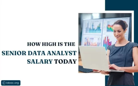 How High Is the Senior Data Analyst Salary Today
