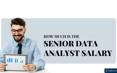 How Much Is the Senior Data Analyst Salary